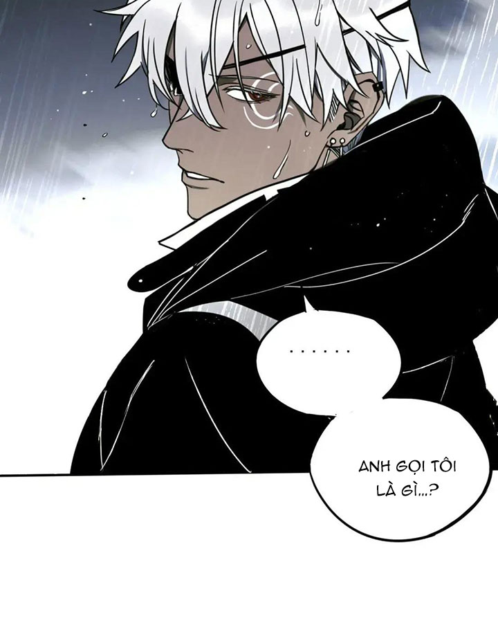 Đỉnh Cấp Thợ Săn Tái Xuất Giang Hồ: Chapter 4