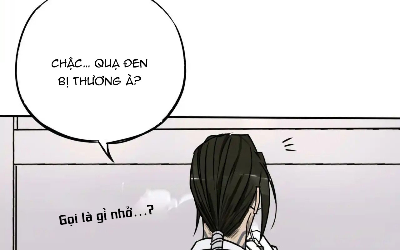 Đỉnh Cấp Thợ Săn Tái Xuất Giang Hồ: Chapter 5