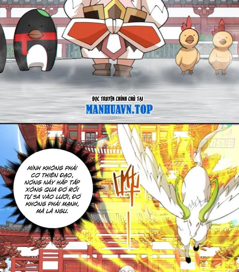 Đồ Đệ Của Ta Đều Là Đại Phản Phái: Chapter 304