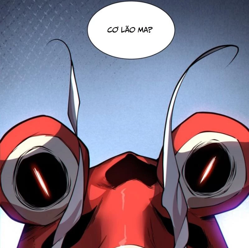 Đồ Đệ Của Ta Đều Là Đại Phản Phái: Chapter 312