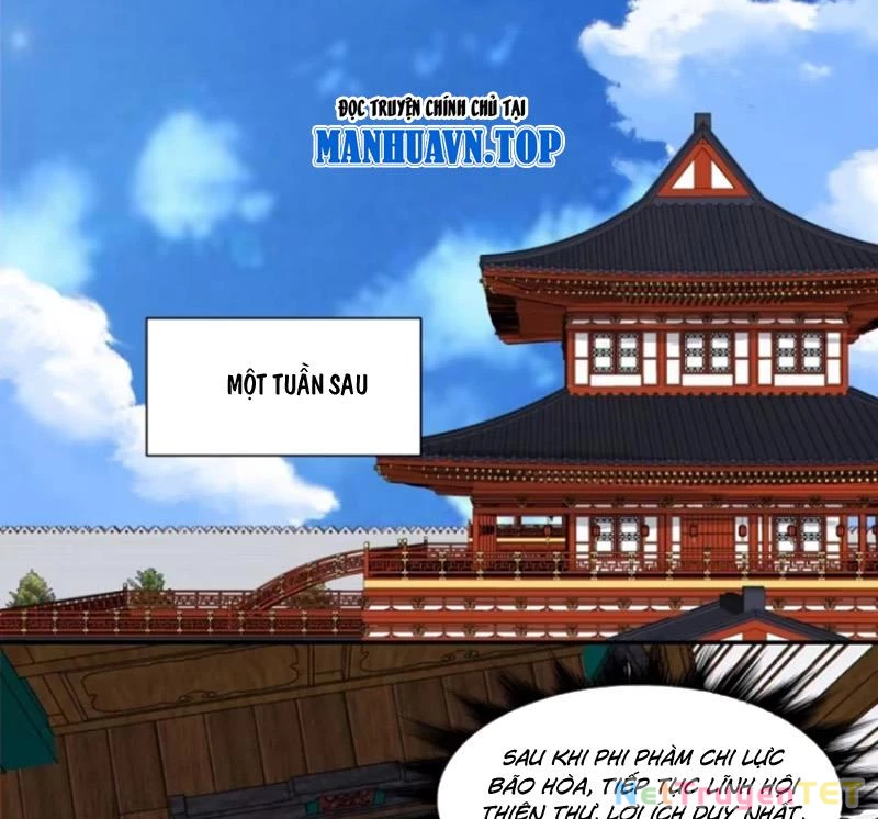 Đồ Đệ Của Ta Đều Là Đại Phản Phái: Chapter 339