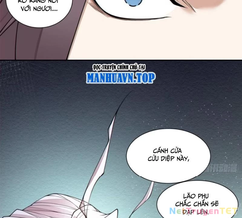 Đồ Đệ Của Ta Đều Là Đại Phản Phái: Chapter 339