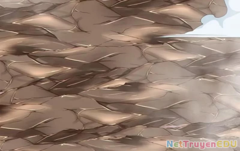 Đồ Đệ Của Ta Đều Là Đại Phản Phái: Chapter 340