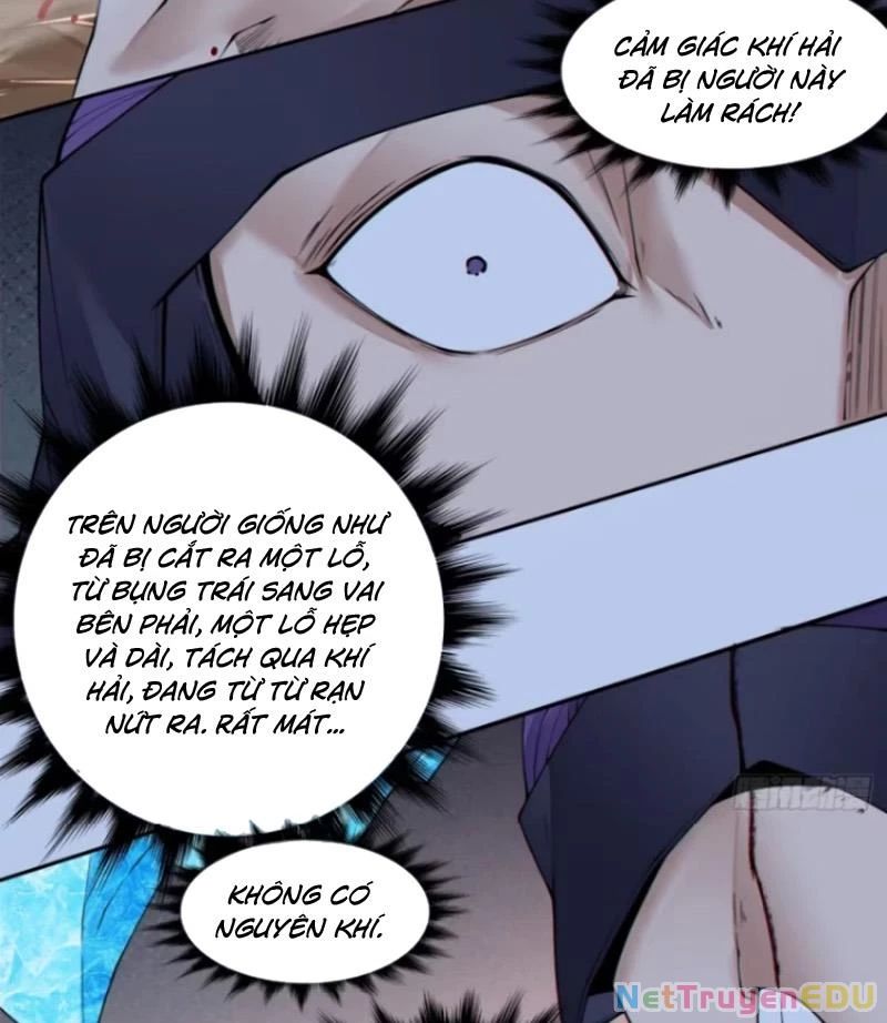 Đồ Đệ Của Ta Đều Là Đại Phản Phái: Chapter 342