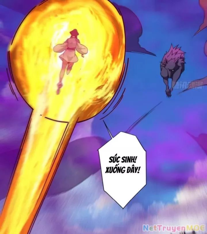 Đồ Đệ Của Ta Đều Là Đại Phản Phái: Chapter 352