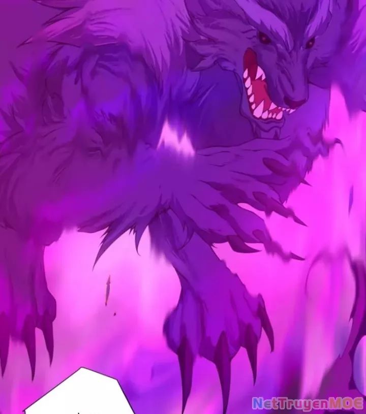 Đồ Đệ Của Ta Đều Là Đại Phản Phái: Chapter 352