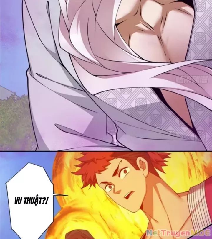 Đồ Đệ Của Ta Đều Là Đại Phản Phái: Chapter 352