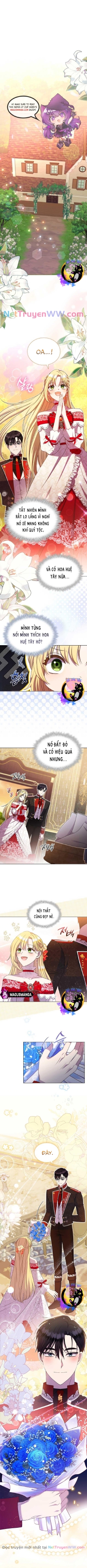 Đó Không Phải Con Gái Chúng Ta: Chapter 11