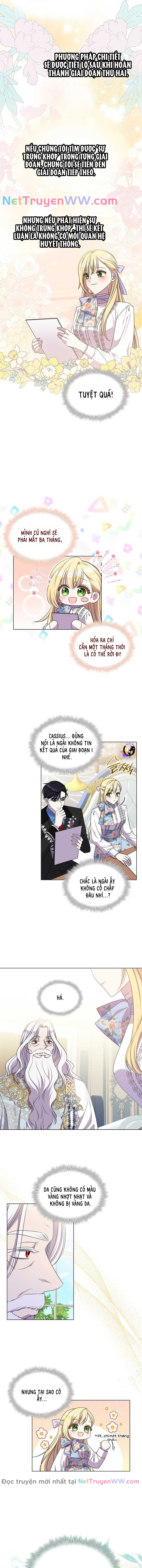 Đó Không Phải Con Gái Chúng Ta: Chapter 15