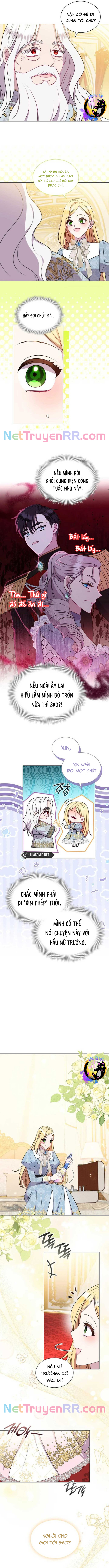 Đó Không Phải Con Gái Chúng Ta: Chapter 20