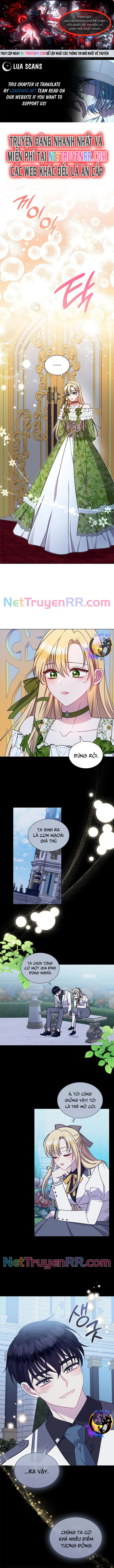 Đó Không Phải Con Gái Chúng Ta: Chapter 24