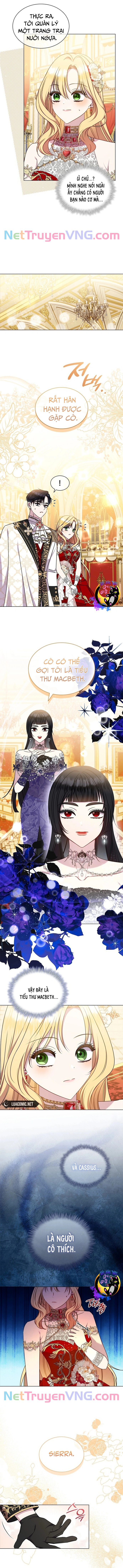 Đó Không Phải Con Gái Chúng Ta: Chapter 33