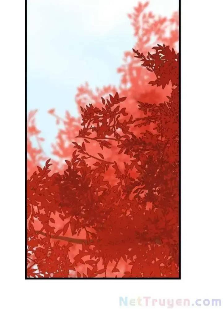 ĐỘC BỘ THIÊN HẠ ĐẶC CÔNG THẦN Y TIỂU THÚ PHI: Chapter 133