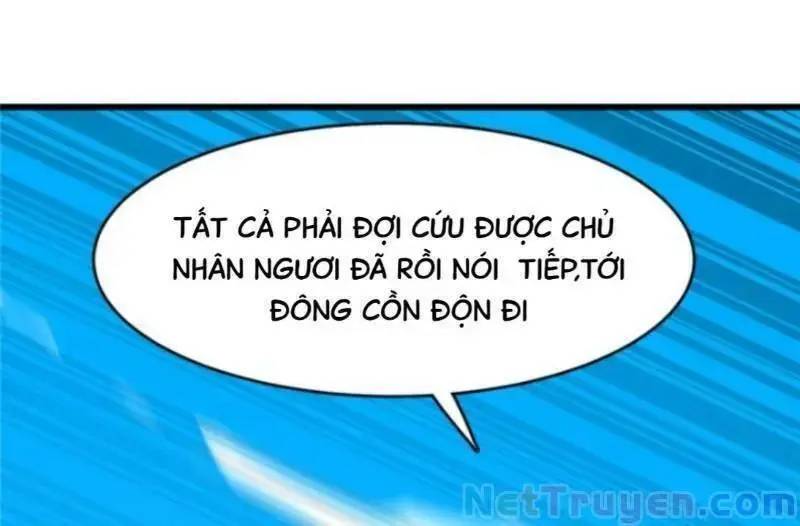 ĐỘC BỘ THIÊN HẠ ĐẶC CÔNG THẦN Y TIỂU THÚ PHI: Chapter 156