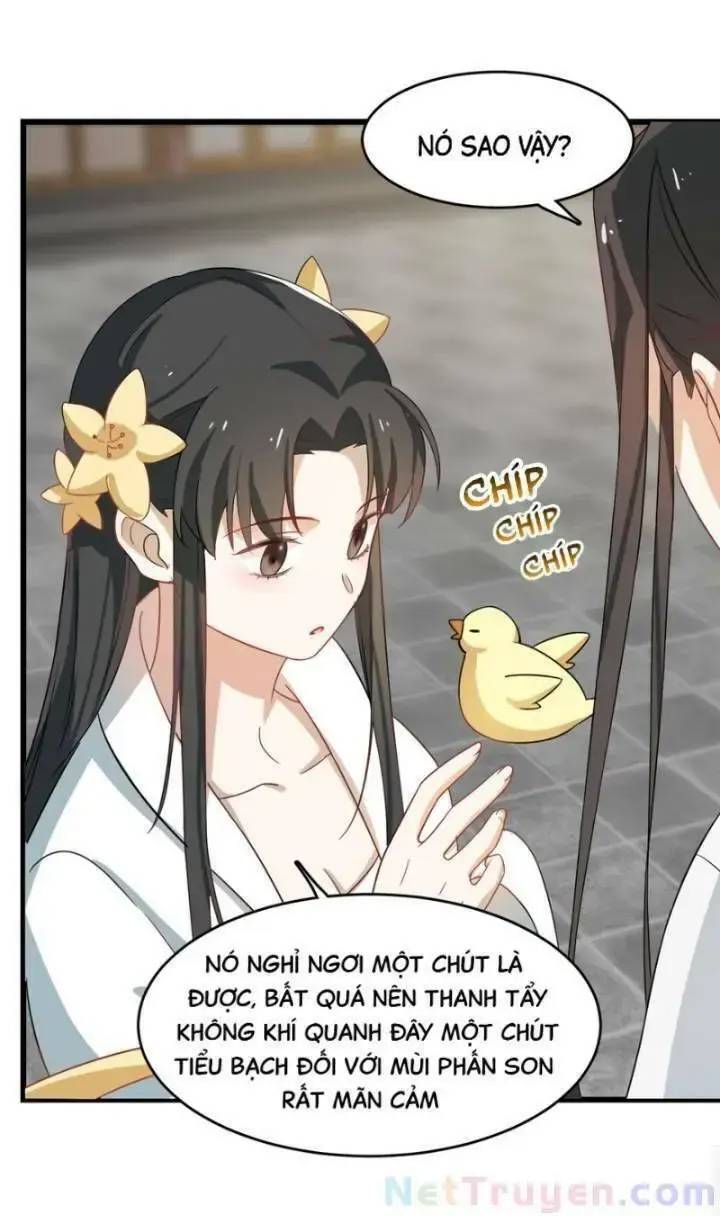 ĐỘC BỘ THIÊN HẠ ĐẶC CÔNG THẦN Y TIỂU THÚ PHI: Chapter 163