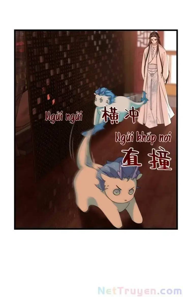 ĐỘC BỘ THIÊN HẠ ĐẶC CÔNG THẦN Y TIỂU THÚ PHI: Chapter 163