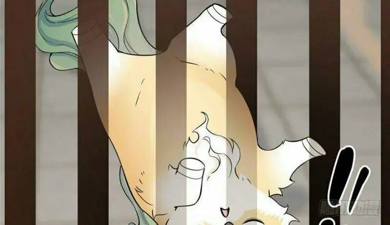 ĐỘC BỘ THIÊN HẠ ĐẶC CÔNG THẦN Y TIỂU THÚ PHI: Chapter 22