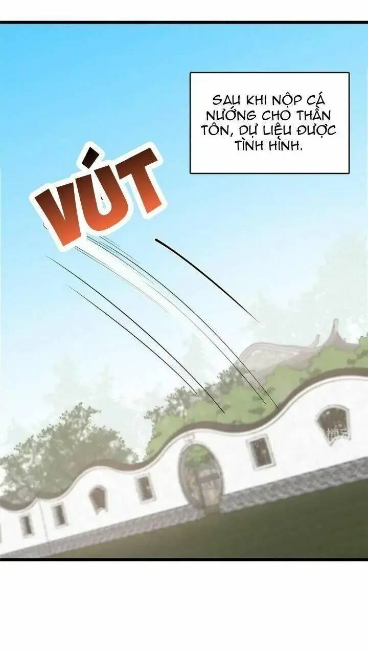 ĐỘC BỘ THIÊN HẠ ĐẶC CÔNG THẦN Y TIỂU THÚ PHI: Chapter 242