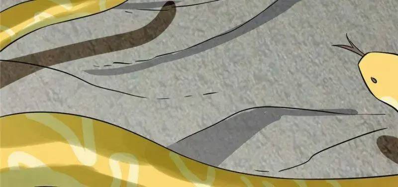 ĐỘC BỘ THIÊN HẠ ĐẶC CÔNG THẦN Y TIỂU THÚ PHI: Chapter 26