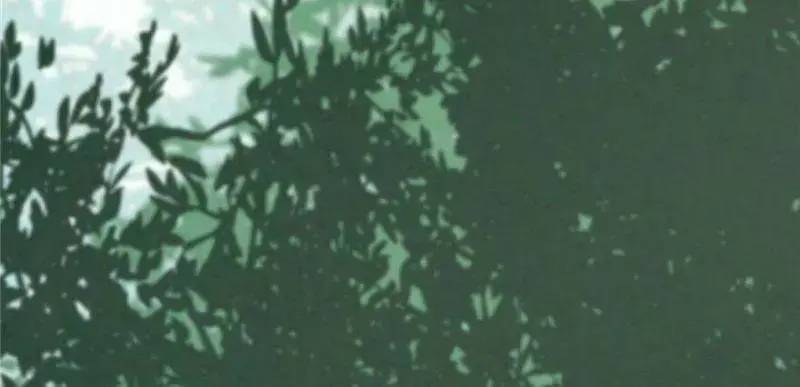ĐỘC BỘ THIÊN HẠ ĐẶC CÔNG THẦN Y TIỂU THÚ PHI: Chapter 26