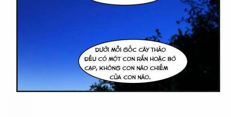 ĐỘC BỘ THIÊN HẠ ĐẶC CÔNG THẦN Y TIỂU THÚ PHI: Chapter 27