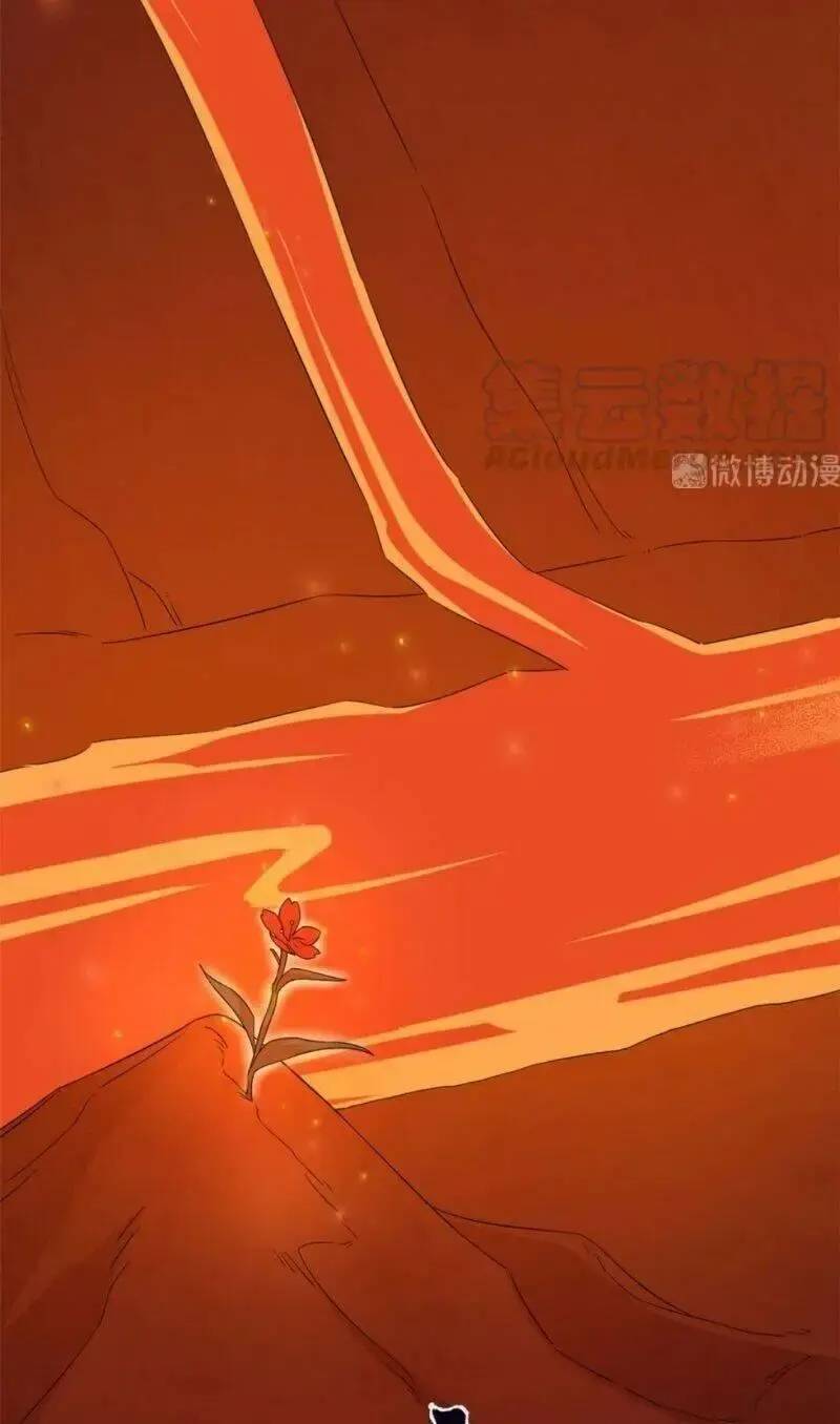 ĐỘC BỘ THIÊN HẠ ĐẶC CÔNG THẦN Y TIỂU THÚ PHI: Chapter 284