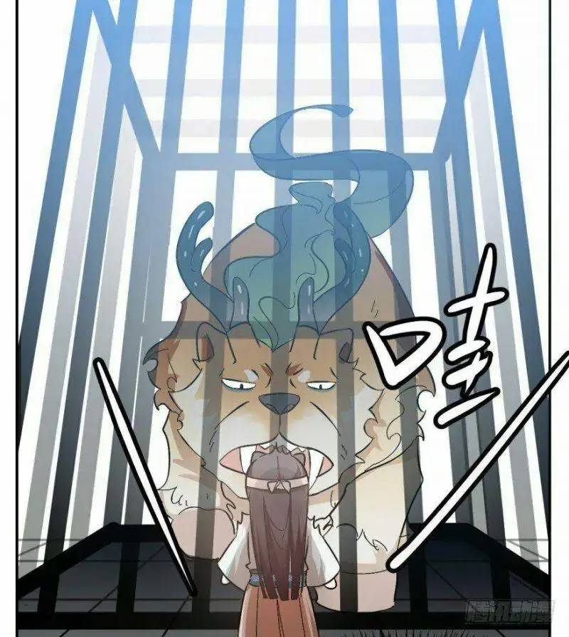 ĐỘC BỘ THIÊN HẠ ĐẶC CÔNG THẦN Y TIỂU THÚ PHI: Chapter 3