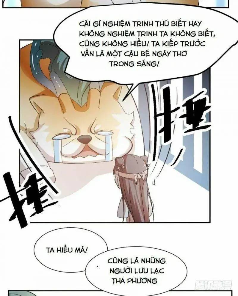 ĐỘC BỘ THIÊN HẠ ĐẶC CÔNG THẦN Y TIỂU THÚ PHI: Chapter 3