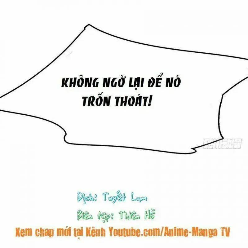 ĐỘC BỘ THIÊN HẠ ĐẶC CÔNG THẦN Y TIỂU THÚ PHI: Chapter 31