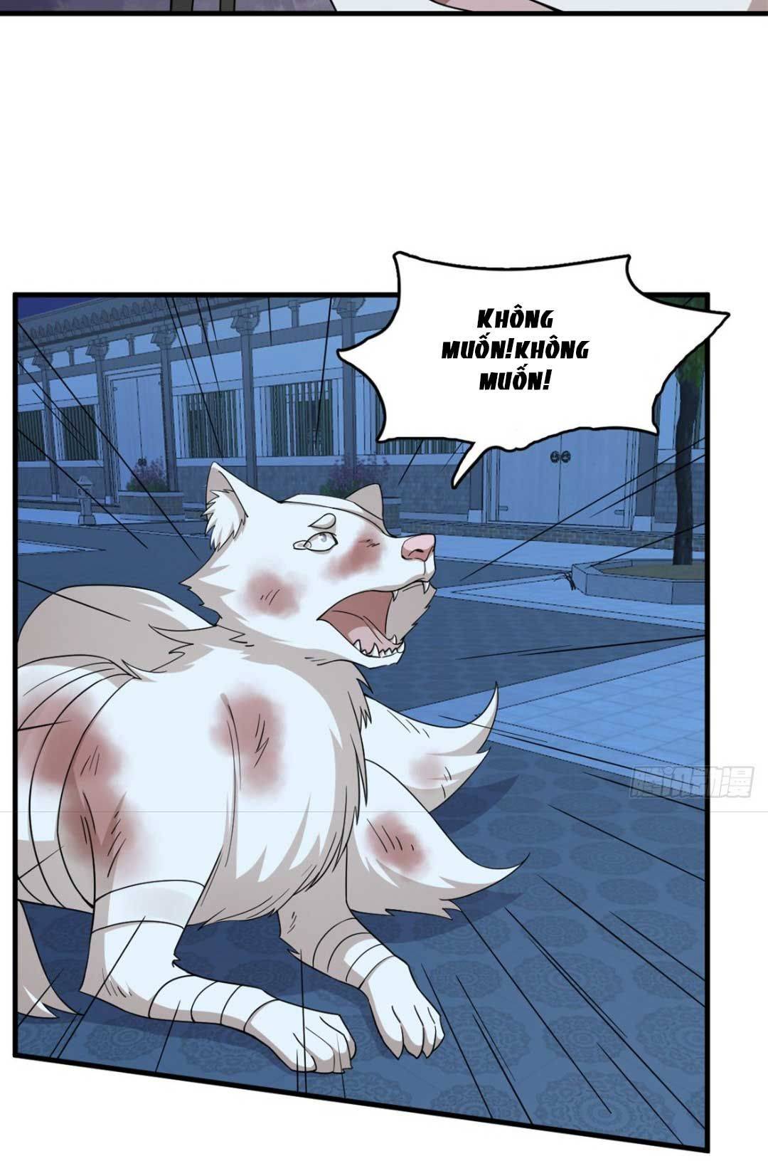 ĐỘC BỘ THIÊN HẠ ĐẶC CÔNG THẦN Y TIỂU THÚ PHI: Chapter 362