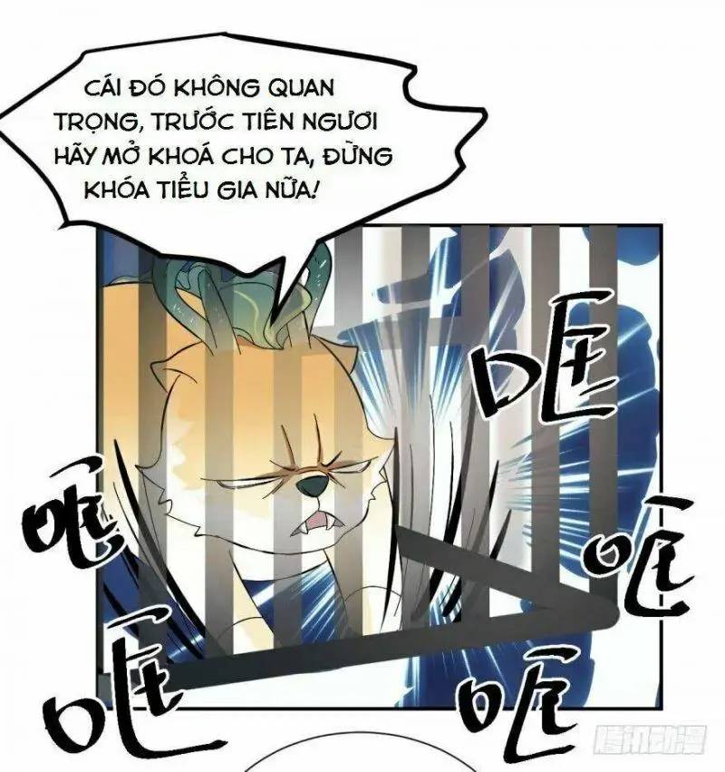 ĐỘC BỘ THIÊN HẠ ĐẶC CÔNG THẦN Y TIỂU THÚ PHI: Chapter 4