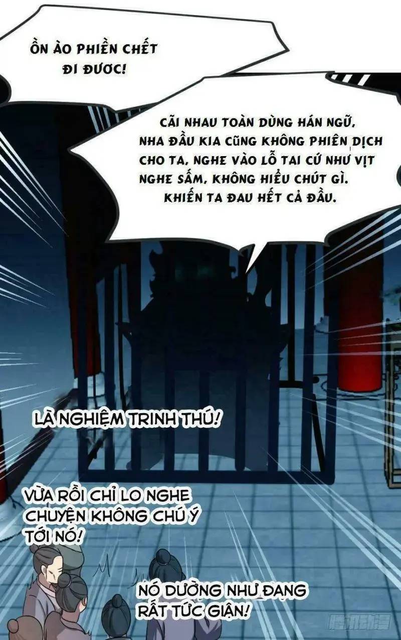 ĐỘC BỘ THIÊN HẠ ĐẶC CÔNG THẦN Y TIỂU THÚ PHI: Chapter 5