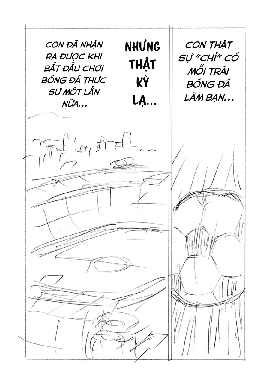 Đội Trưởng Tsubasa - Mặt Trời Mọc - Chung Kết: Chapter 32