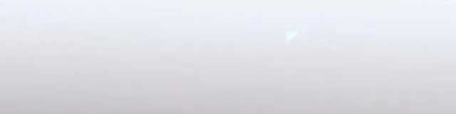 Đứa Con Ngoài Giá Thú Có Khả Năng Hấp Thụ Vũ Khí: Chapter 10