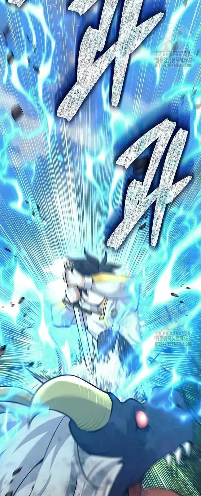 Đứa Con Ngoài Giá Thú Có Khả Năng Hấp Thụ Vũ Khí: Chapter 11