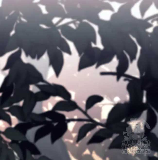 Đứa Con Ngoài Giá Thú Có Khả Năng Hấp Thụ Vũ Khí: Chapter 11