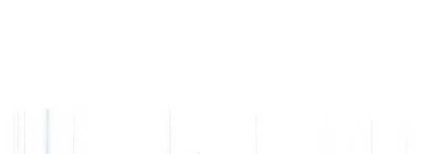 Đứa Con Ngoài Giá Thú Có Khả Năng Hấp Thụ Vũ Khí: Chapter 11