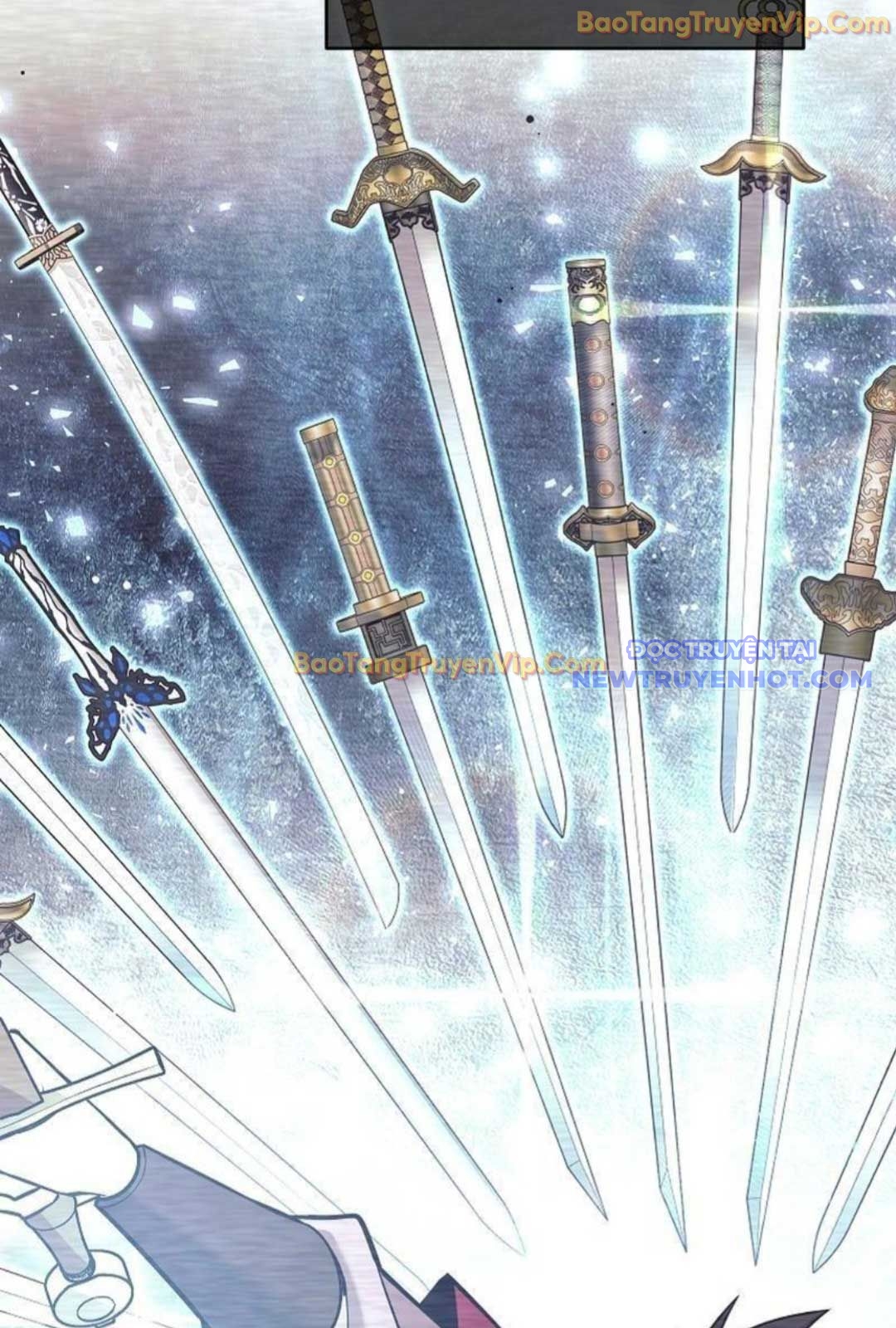 Đứa Con Ngoài Giá Thú Có Khả Năng Hấp Thụ Vũ Khí: Chapter 2