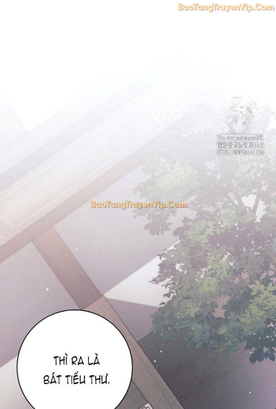 Đứa Con Ngoài Giá Thú Có Khả Năng Hấp Thụ Vũ Khí: Chapter 4