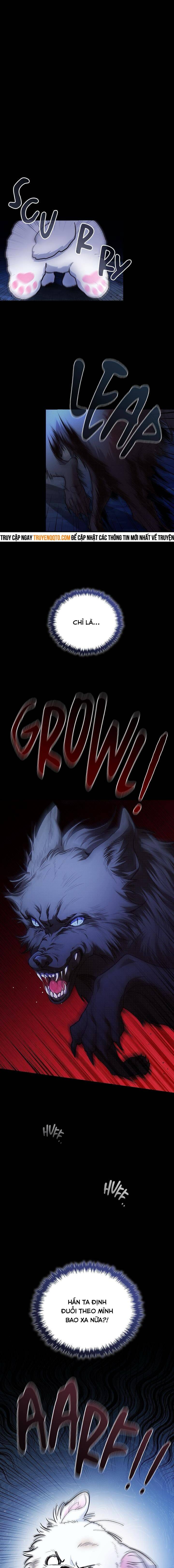 Đừng Đùa Với Cún Con: Chapter 1