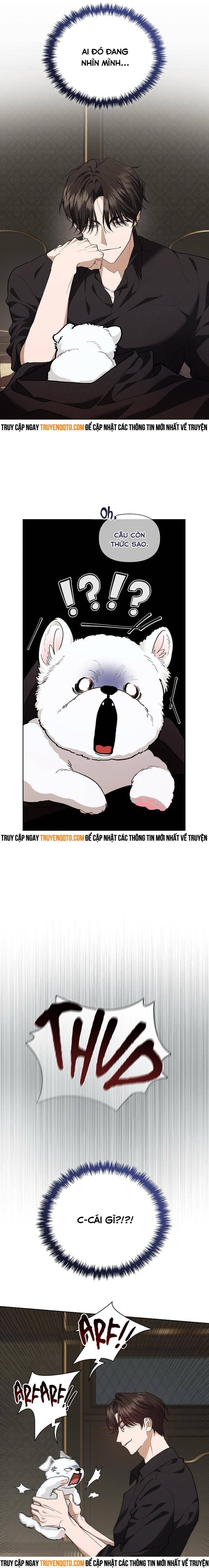 Đừng Đùa Với Cún Con: Chapter 1