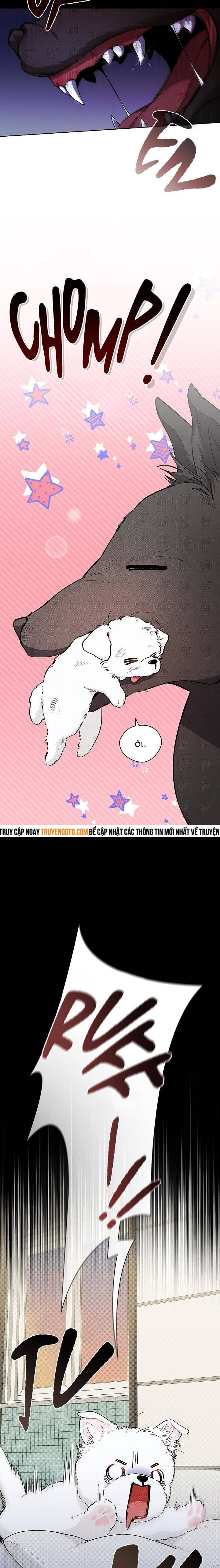 Đừng Đùa Với Cún Con: Chapter 1