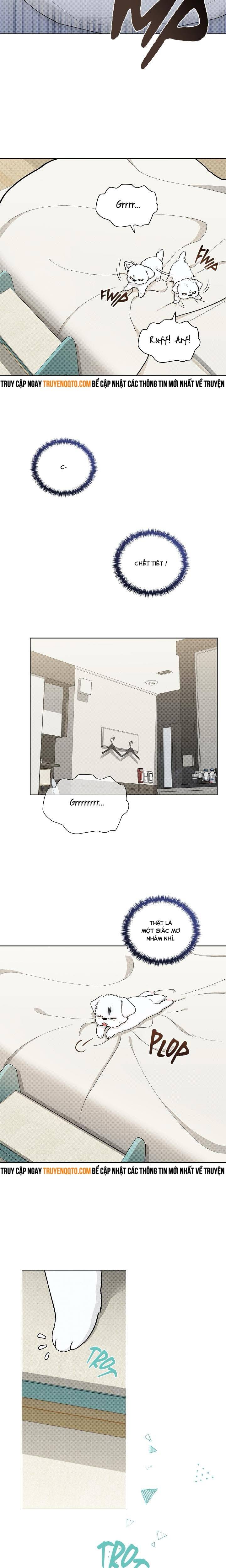 Đừng Đùa Với Cún Con: Chapter 1