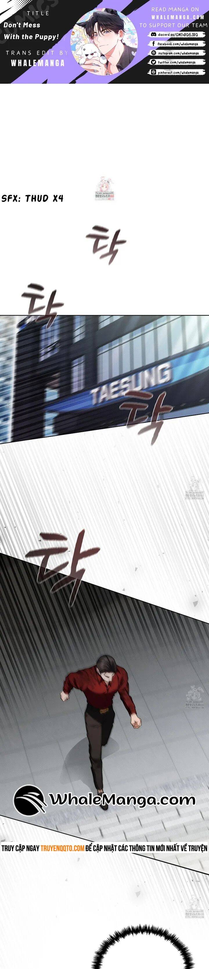 Đừng Đùa Với Cún Con: Chapter 10