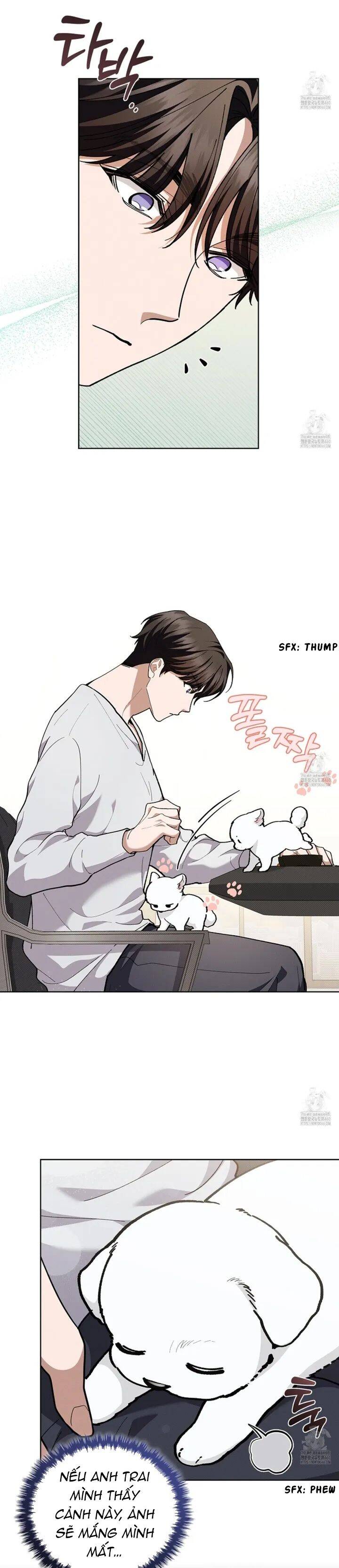 Đừng Đùa Với Cún Con: Chapter 10