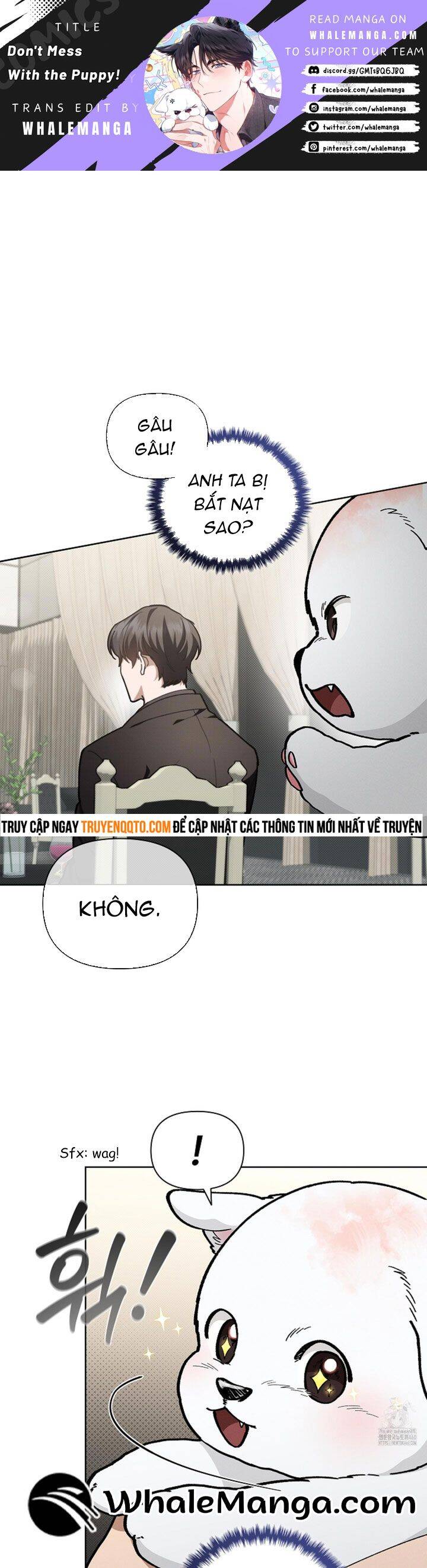 Đừng Đùa Với Cún Con: Chapter 11