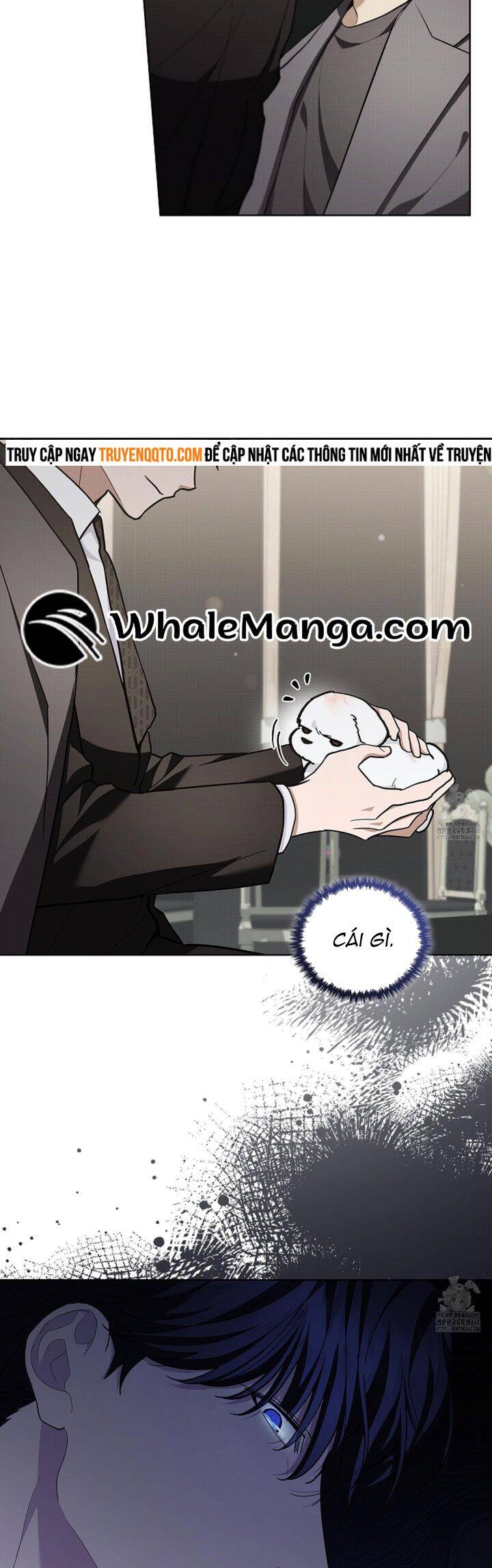 Đừng Đùa Với Cún Con: Chapter 11