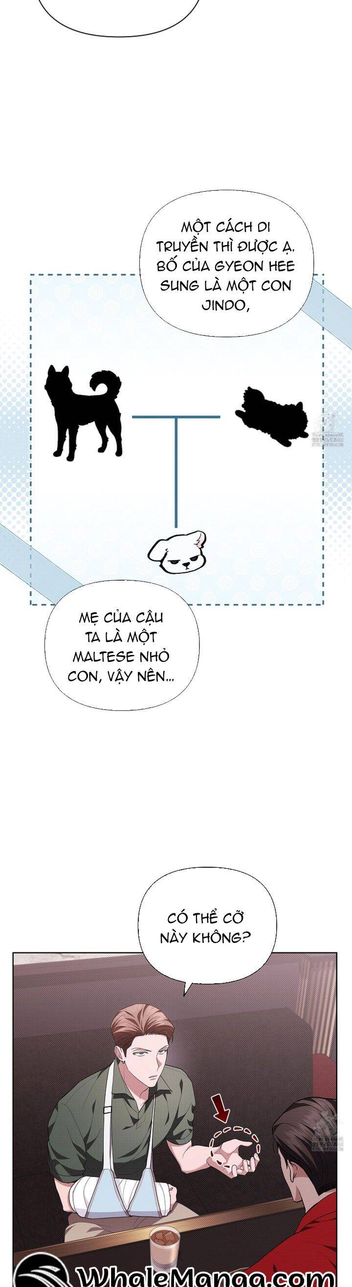 Đừng Đùa Với Cún Con: Chapter 11