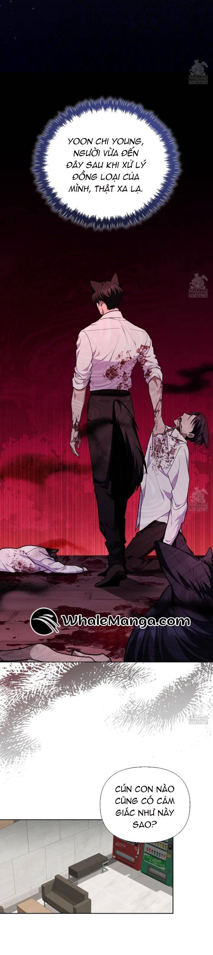 Đừng Đùa Với Cún Con: Chapter 12