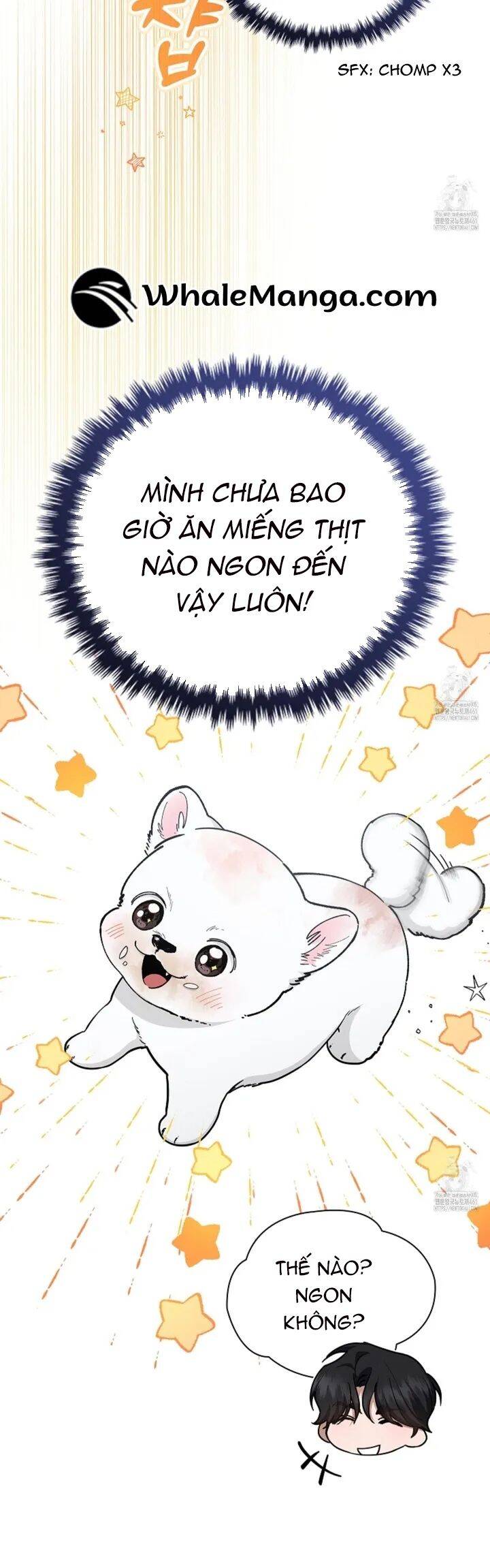 Đừng Đùa Với Cún Con: Chapter 12